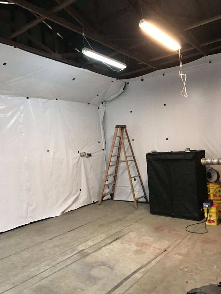 Beginning the build out 3