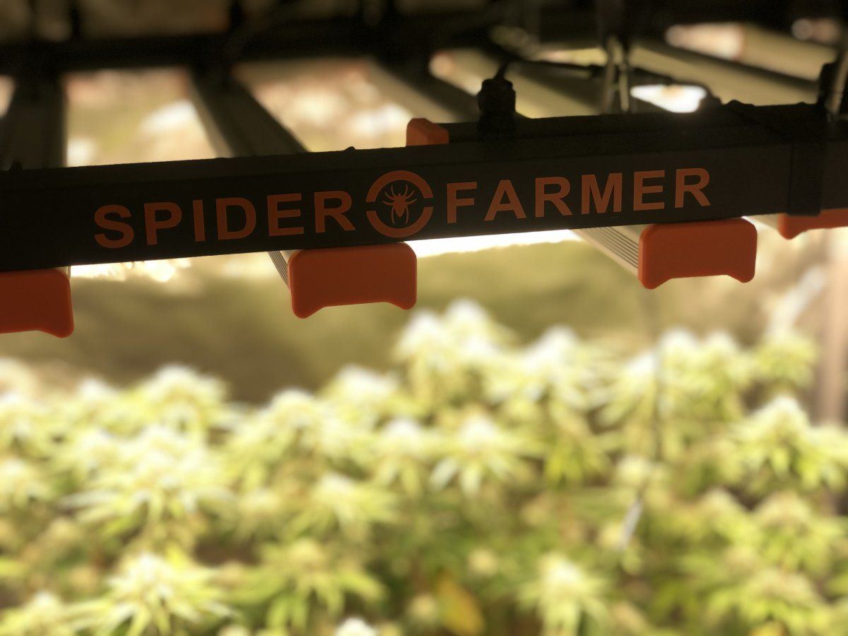 Behindenemylines  2x sf se3000  3x3 grow