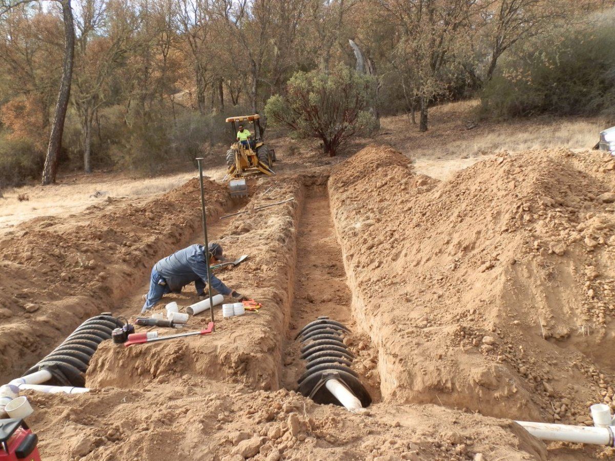 Below frigids 2014 3