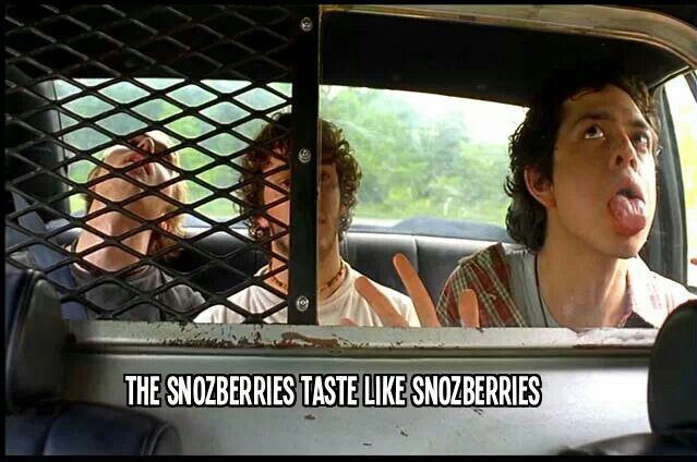 Berries