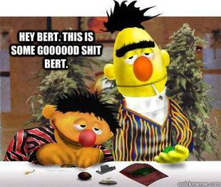 Bert