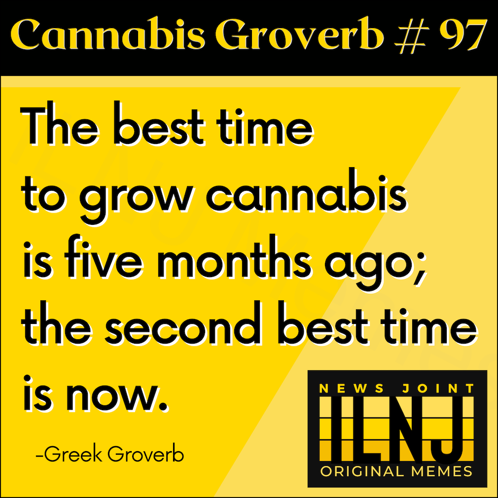 Best TIme to Grow 1