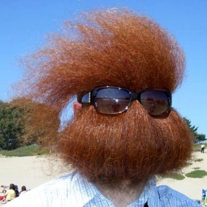 Best beard