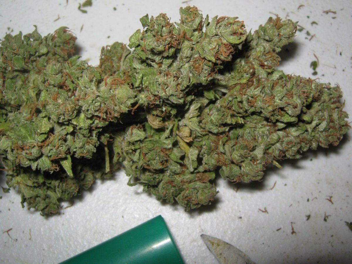 Bg12bud6 24