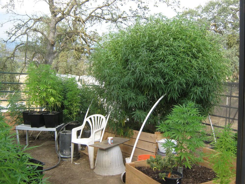 BG5twins7 12