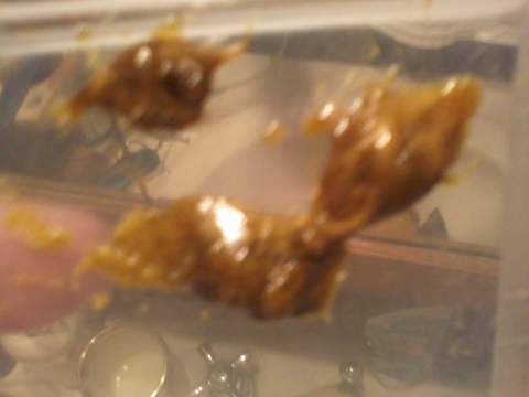 BHO