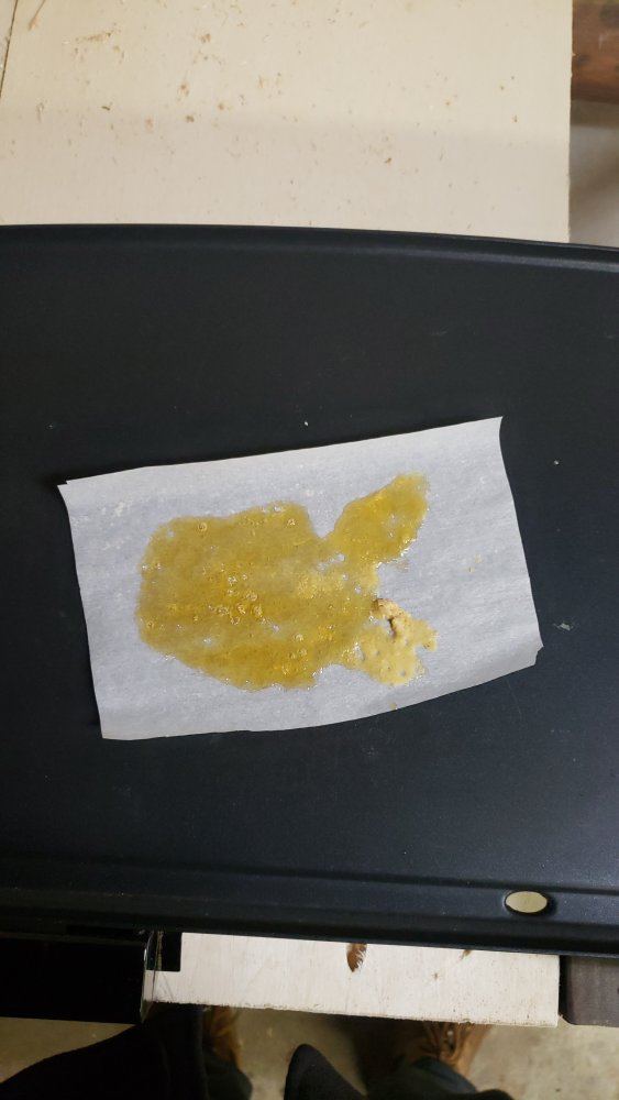 Bho open blasting waxing up during vacuum purging 7