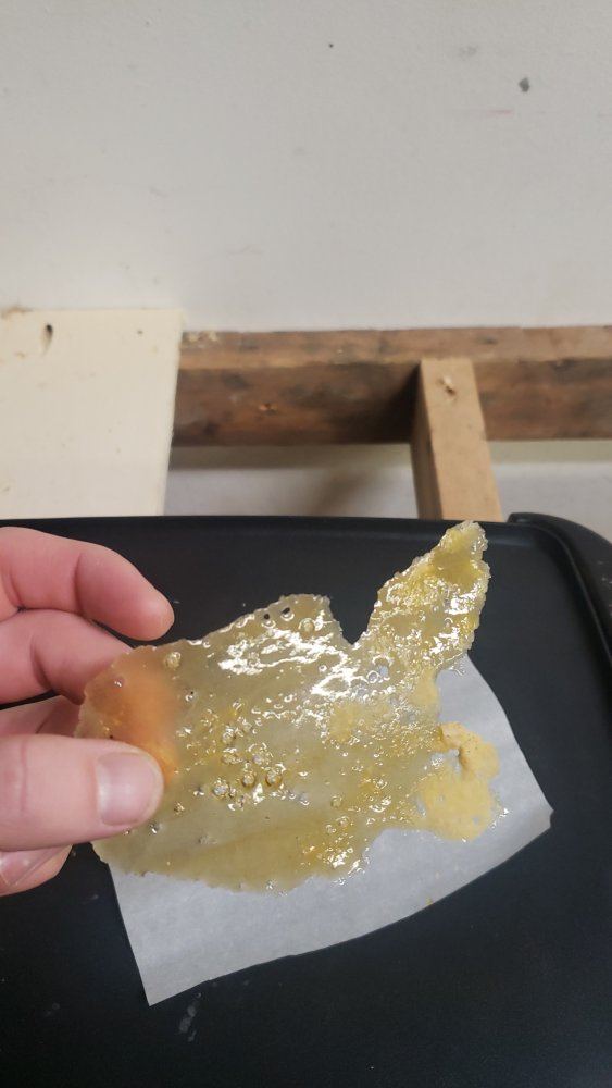 Bho open blasting waxing up during vacuum purging 8