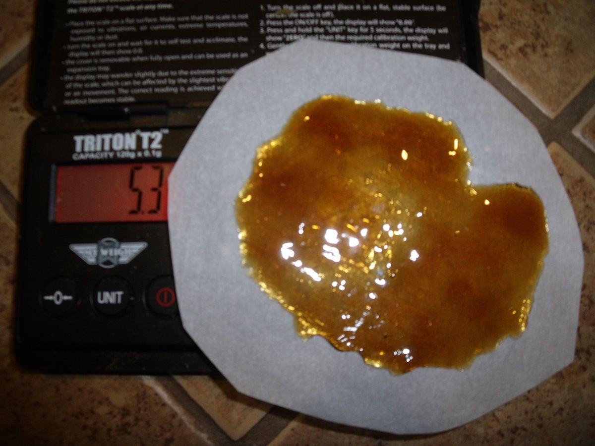 Bho23