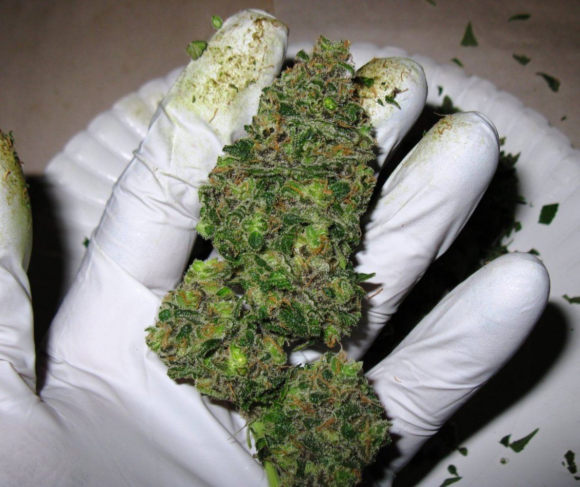 Big bud 4 22 017