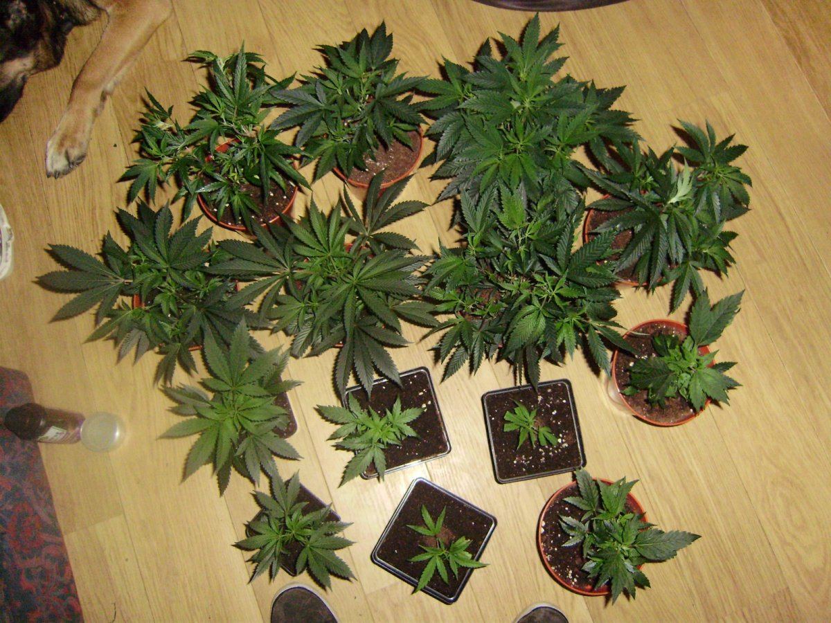 Big group shot