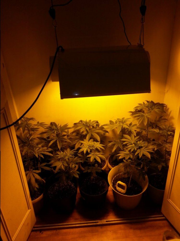 Big jays bud cave 3