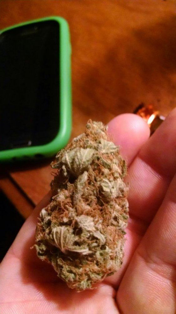Big jays bud cave 6