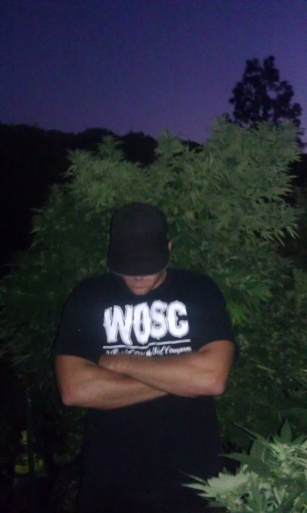 Big plant