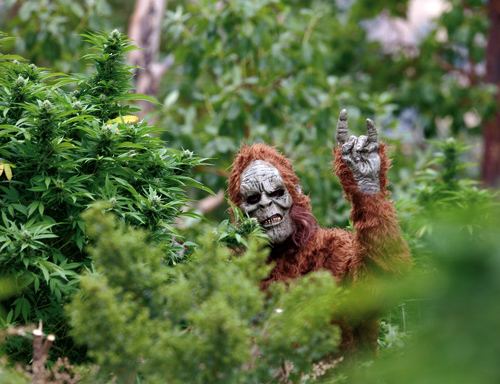 Bigfoot