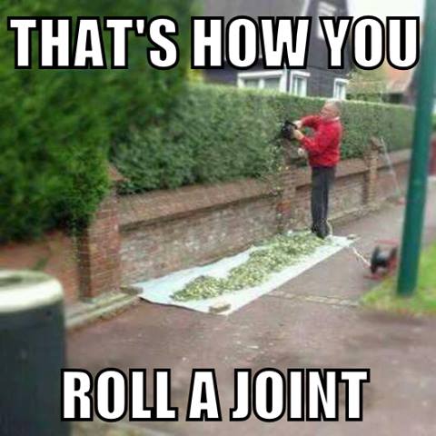 Bigjoint