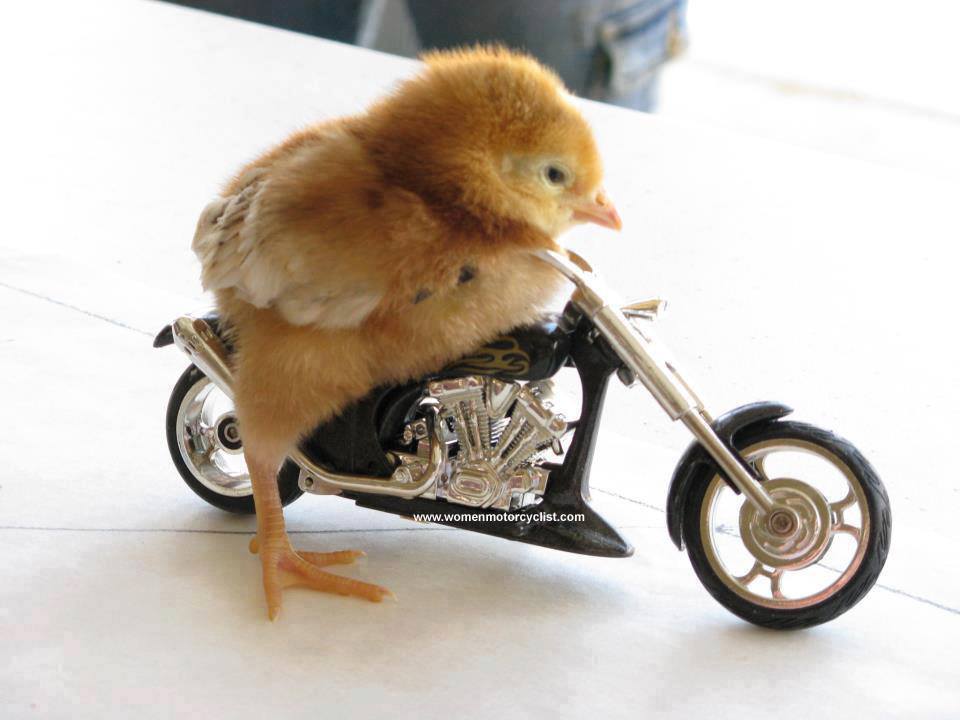 Biker chick