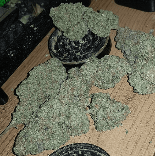 Bikerog