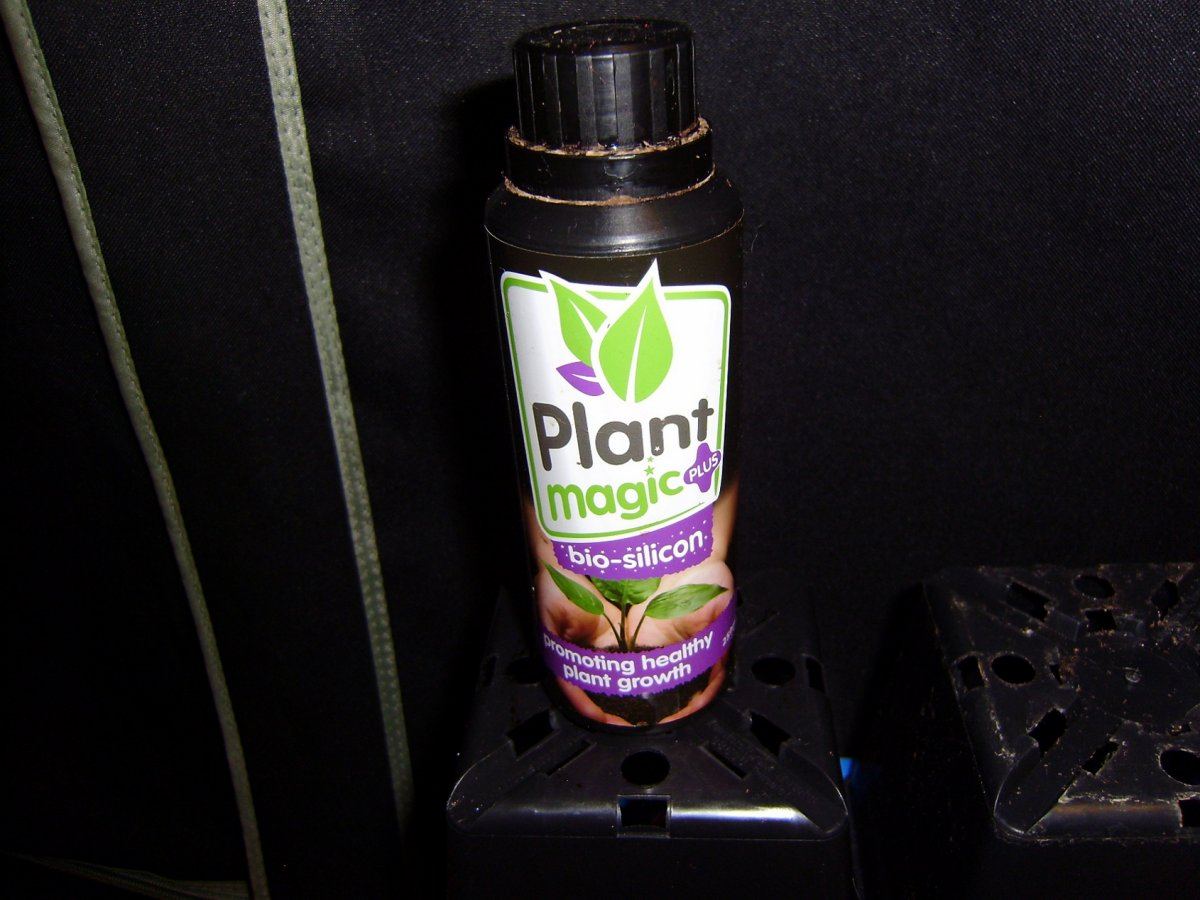 Bio silicon