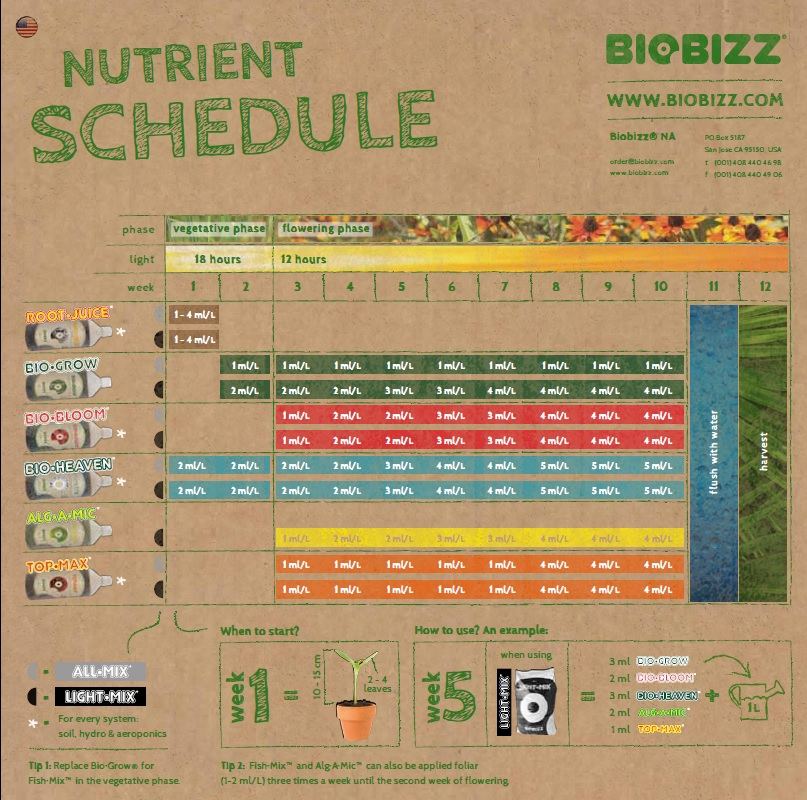 BioBizzfeedchart1