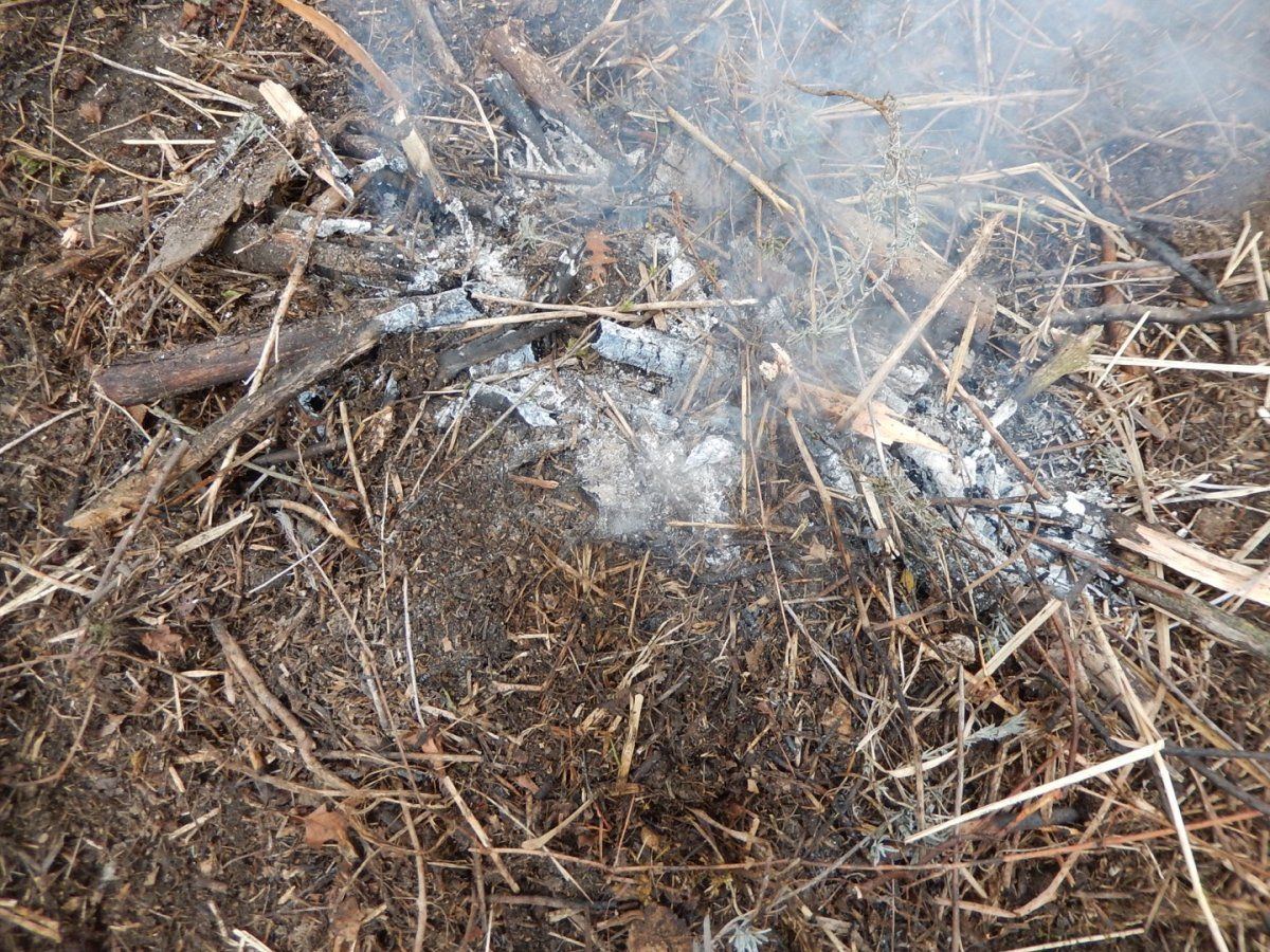 Biochar
