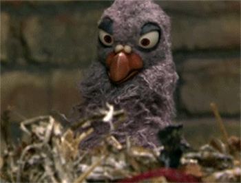 Bird