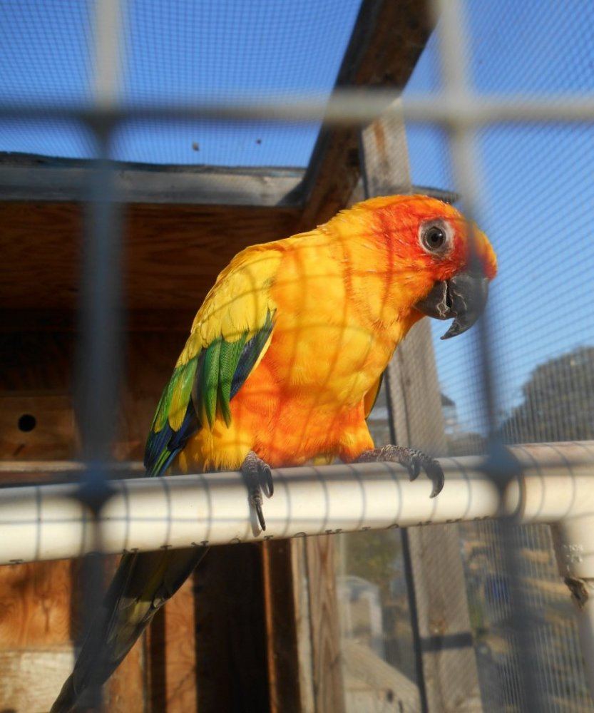 Birdbird8914