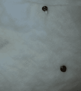 1573398161455.png