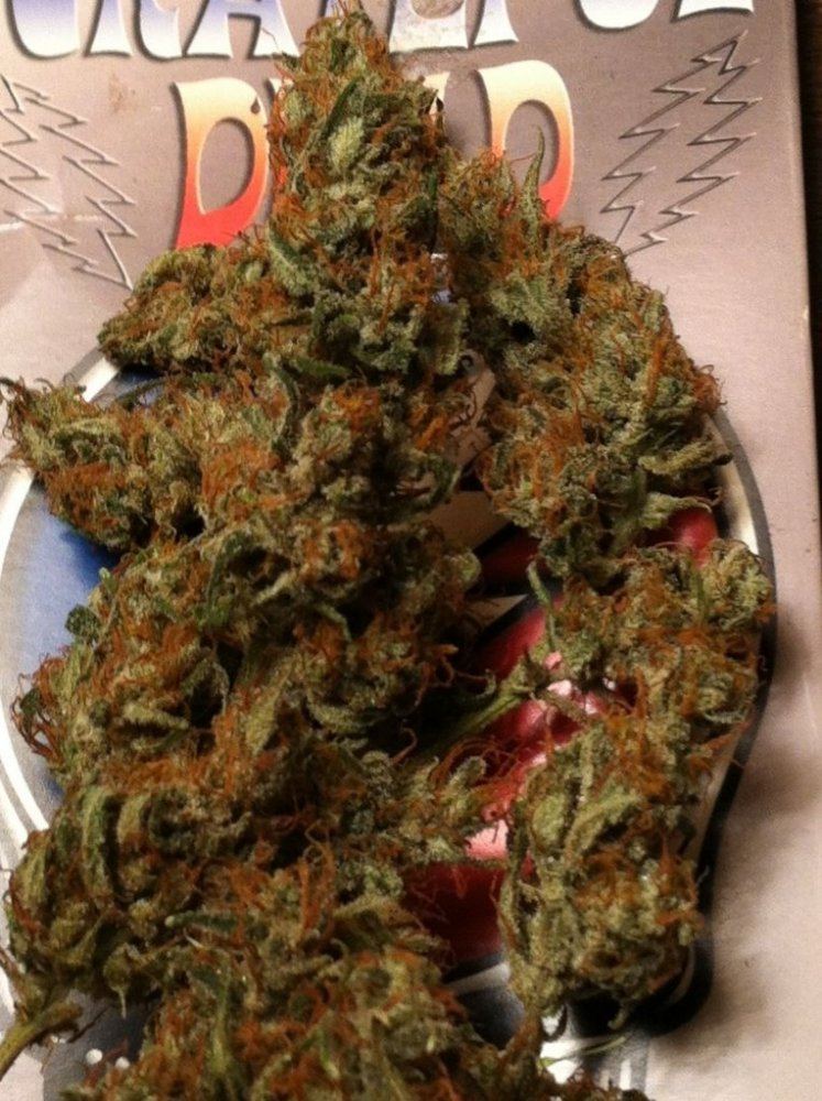 Bj3