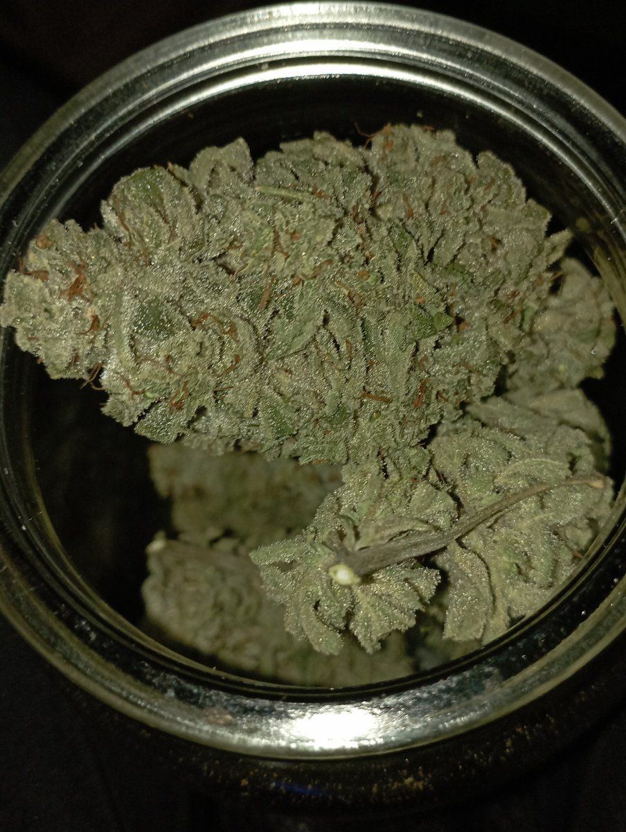 Bl