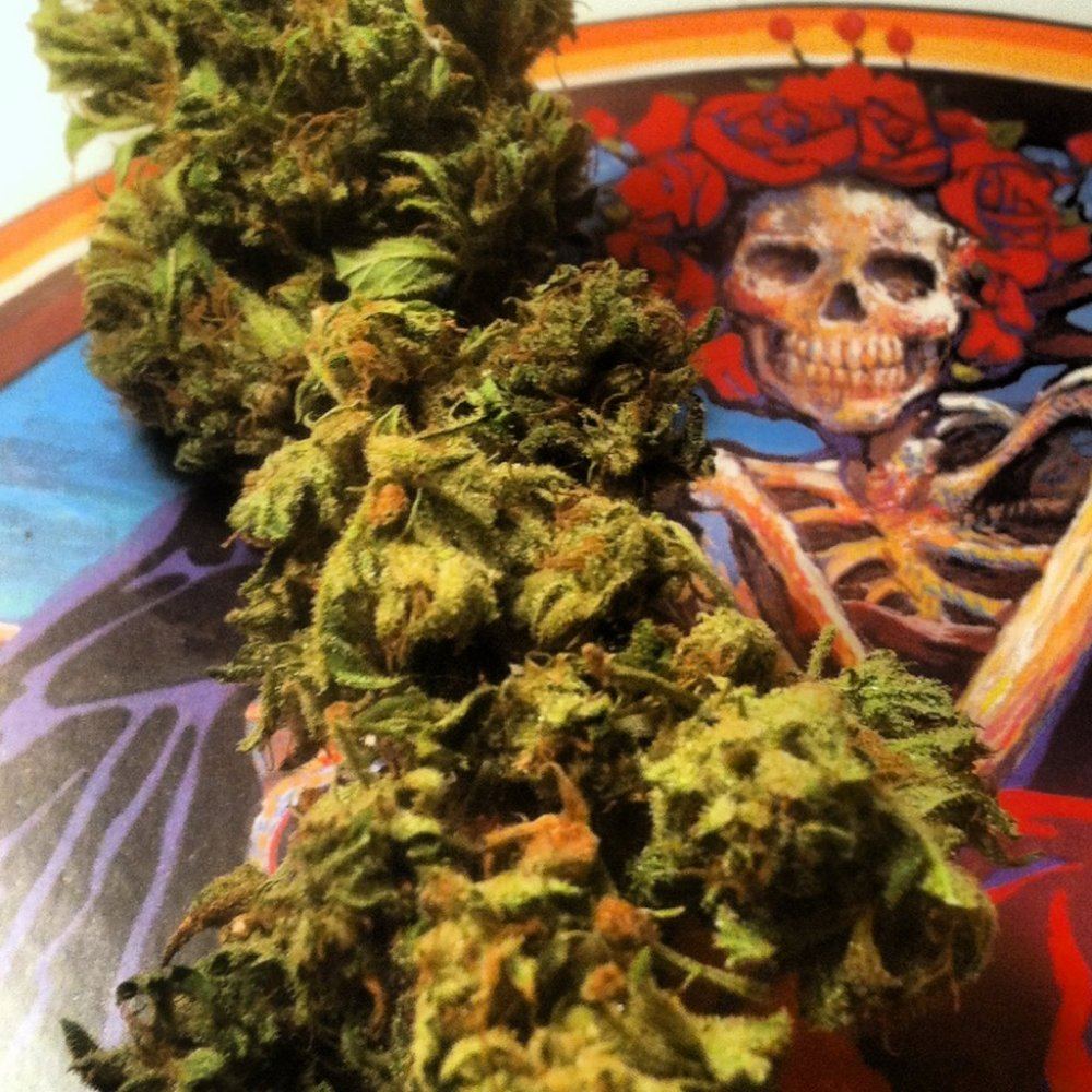 Bl5