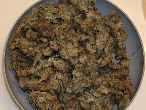 Black haze