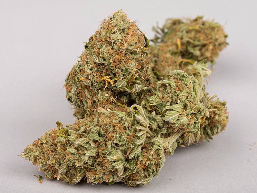 Black Indica web