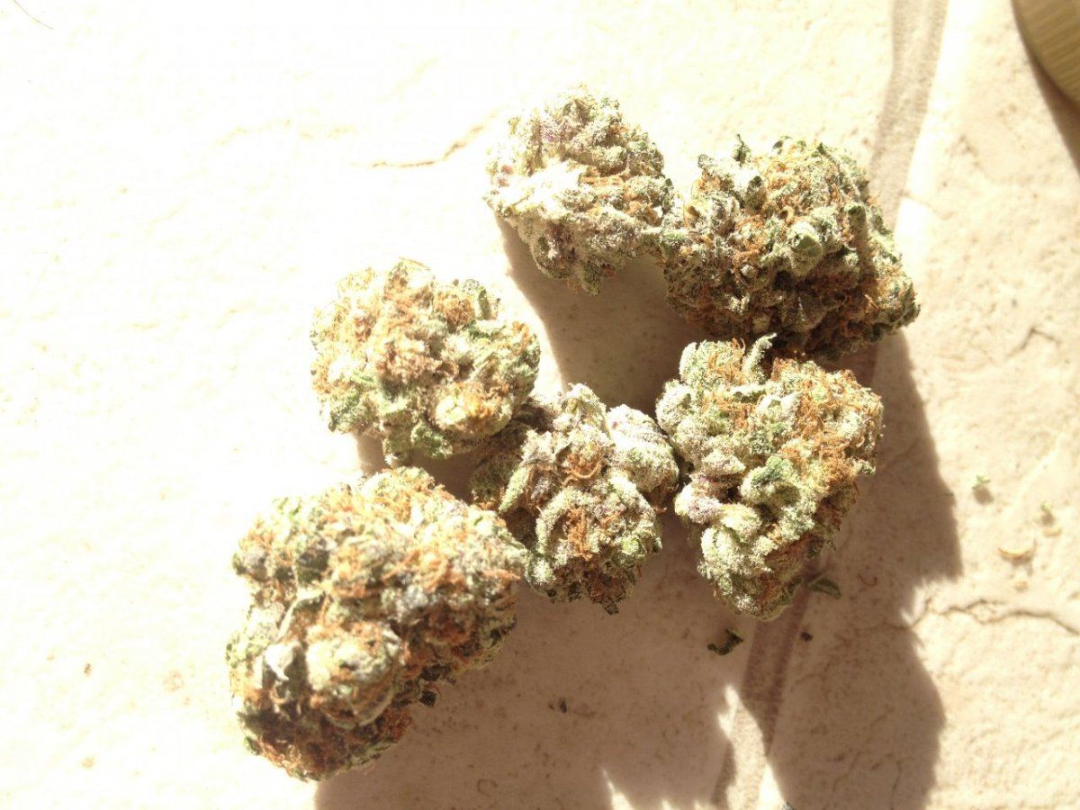 Blackberry Kush Boulder sample 1