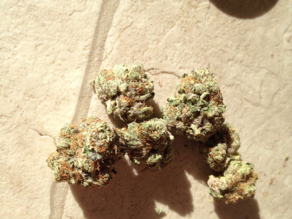 Blackberry Kush Boulder sample 4