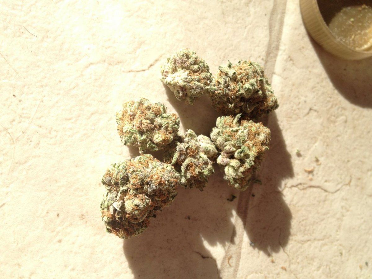 Blackberry Kush Boulder sample 5