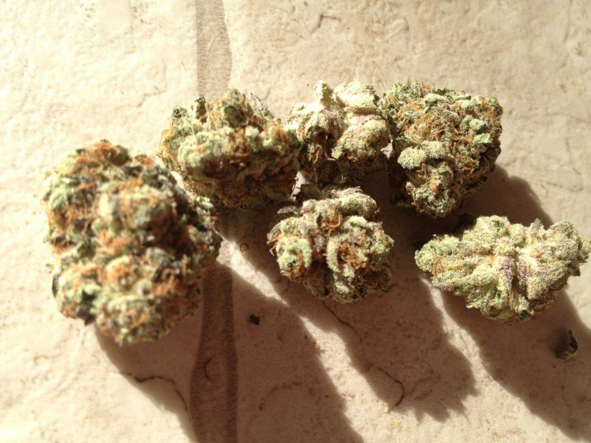 Blackberry Kush Boulder sample 6
