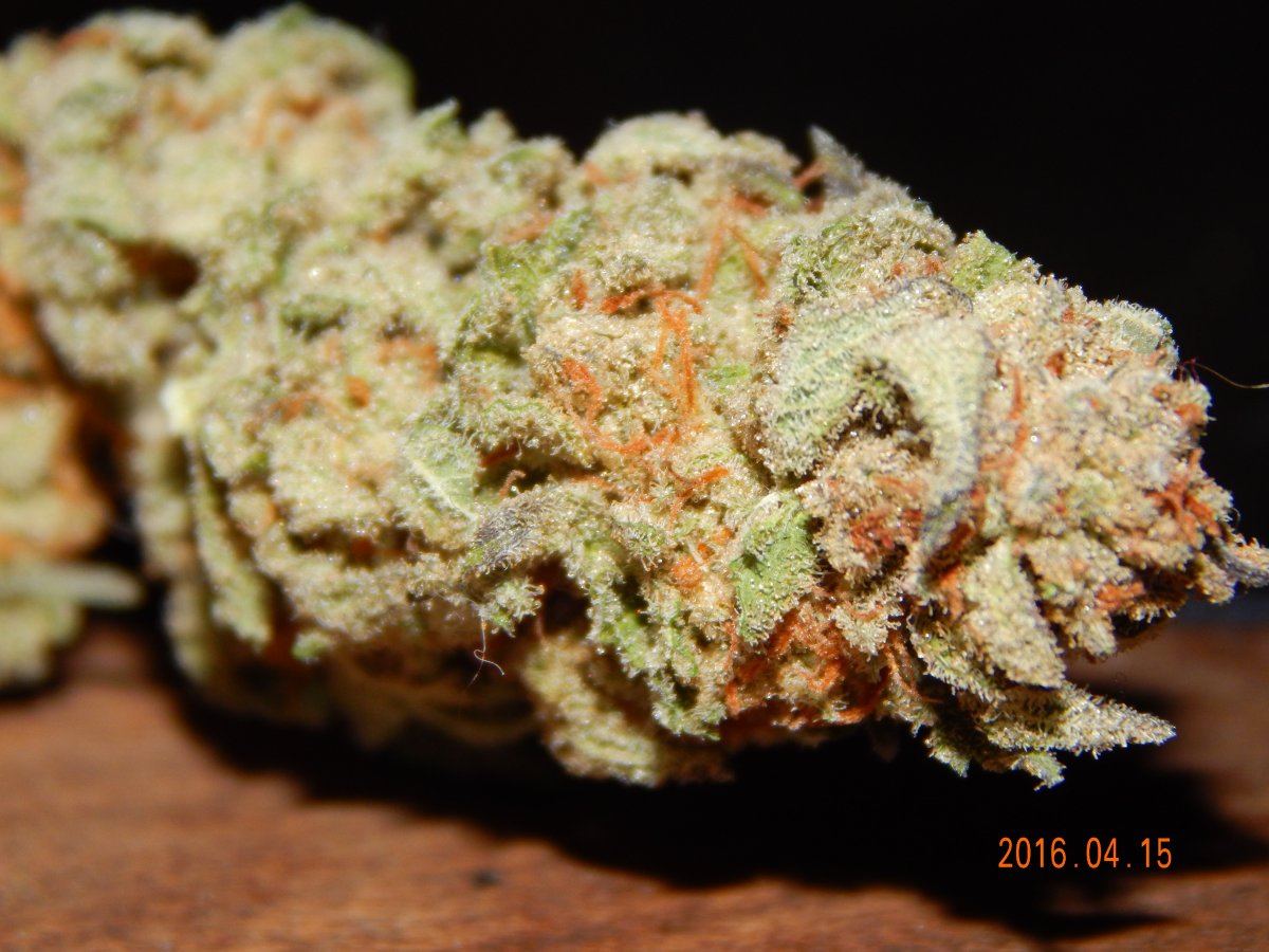 Blackberry nibiru 005