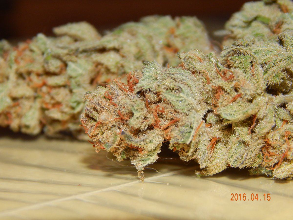 Blackberry nibiru 023