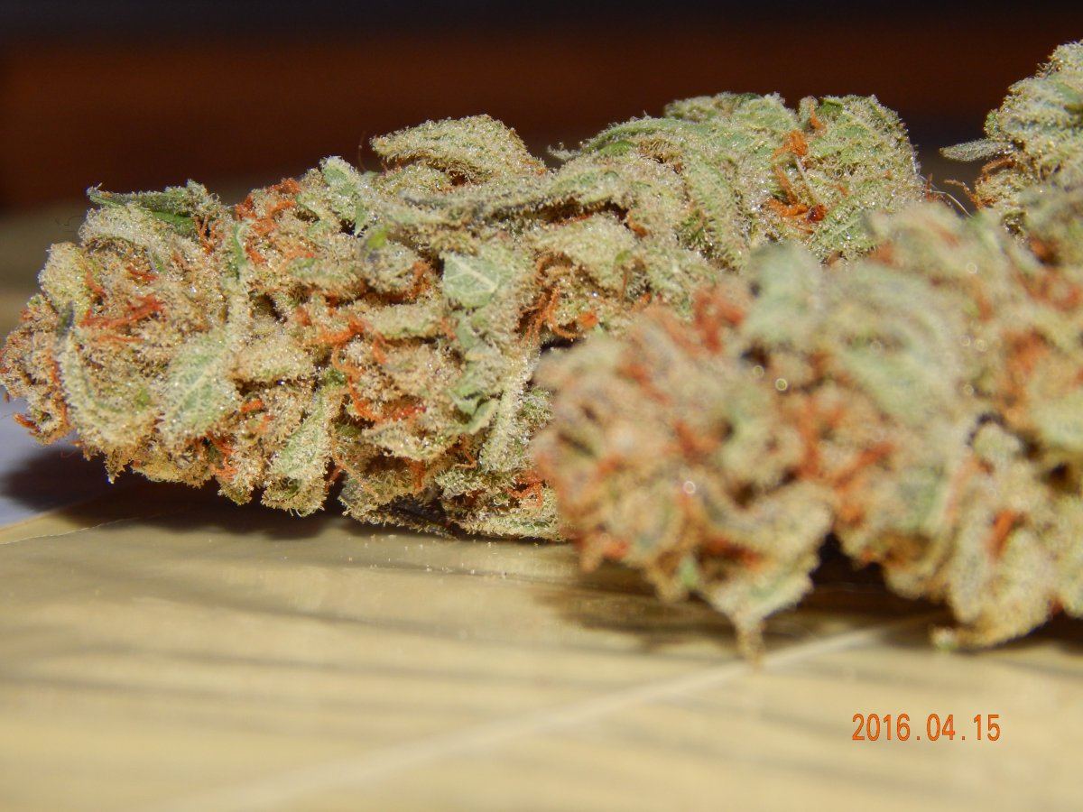 Blackberry nibiru 024