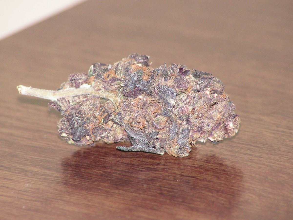 Blb kush 3