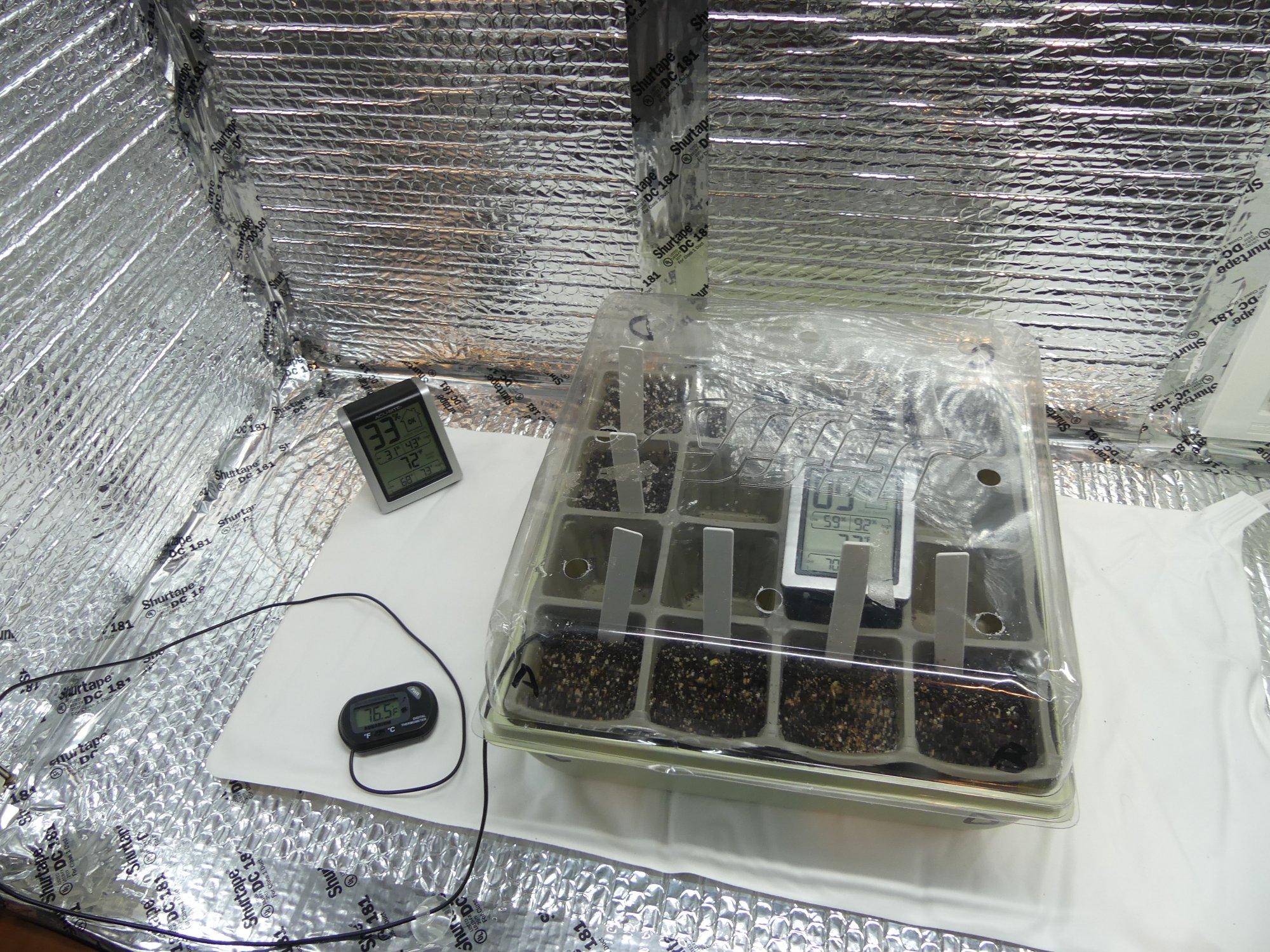 Blue ridge beginnings first grow