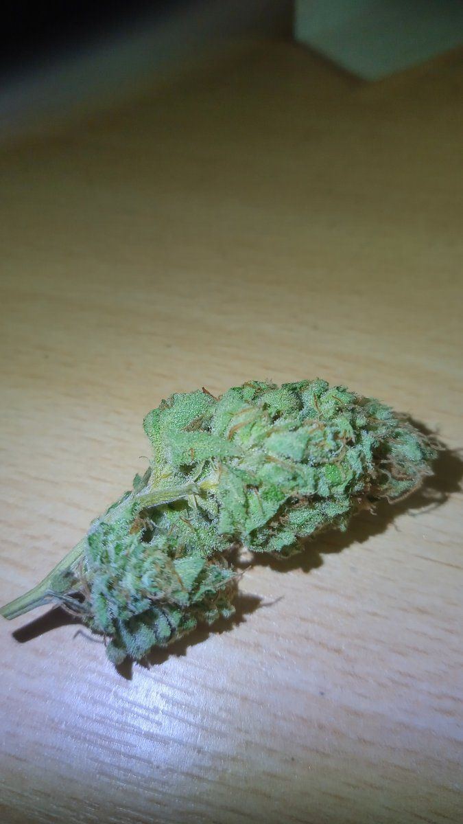Bluecheesebud