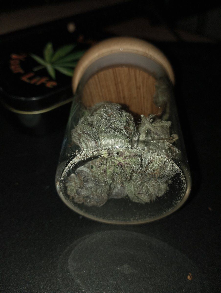 Bluecheesejar