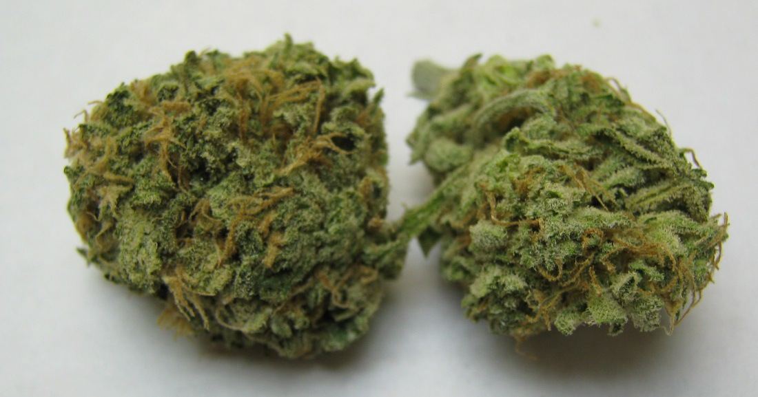 Bluedream