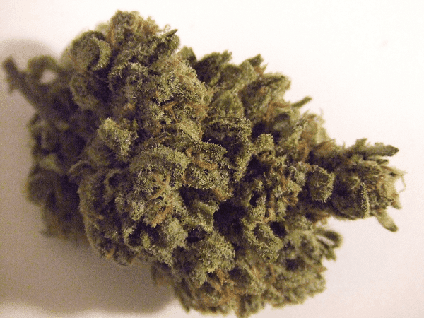 Bluedream1