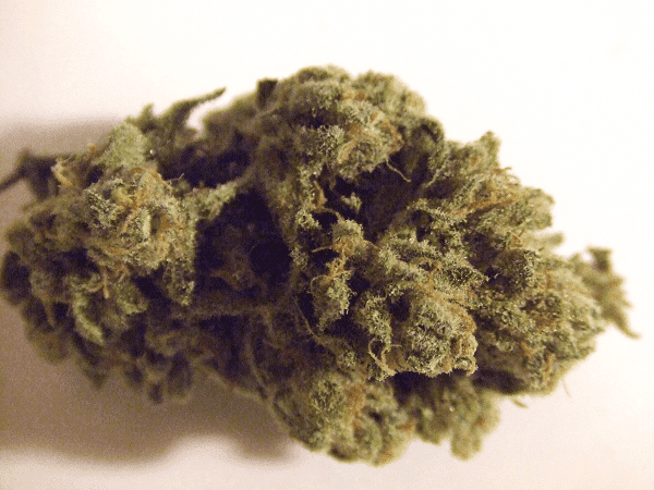 Bluedream2