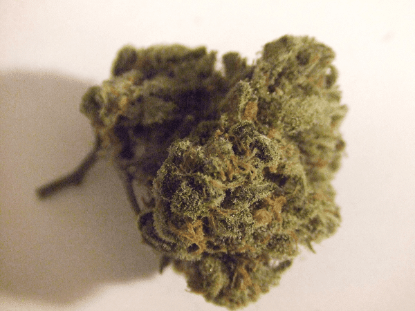 Bluedream3