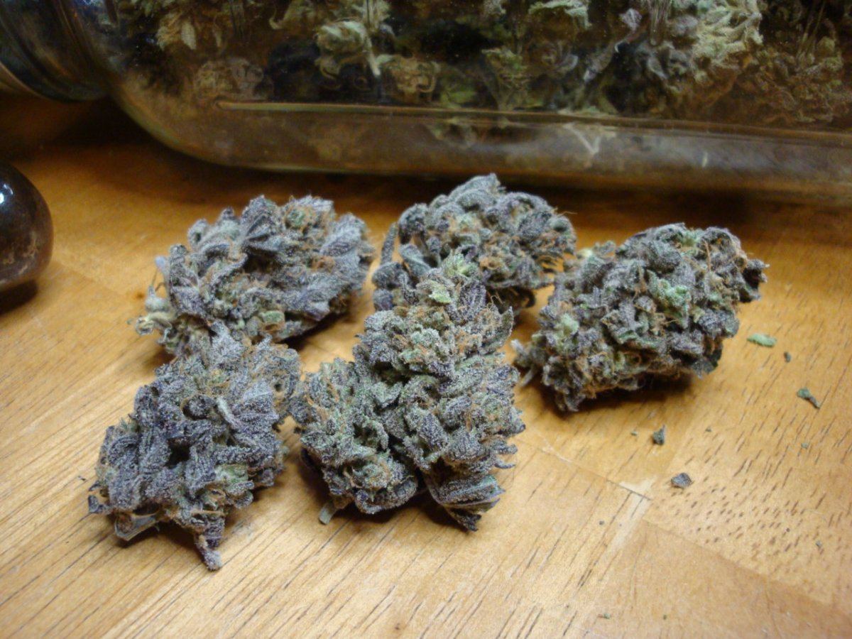 Bluemagoo 001