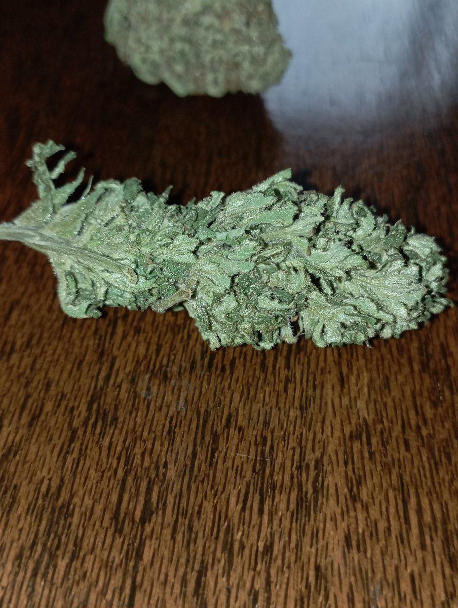 Bluezbx12